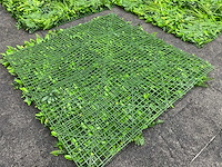 Wanddecoratie jungle 500x200 ongebruikt - afbeelding 2 van  15