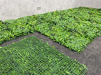 Wanddecoratie jungle 500x200 ongebruikt - afbeelding 7 van  20