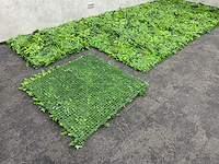 Wanddecoratie jungle 500x200 ongebruikt - afbeelding 20 van  20