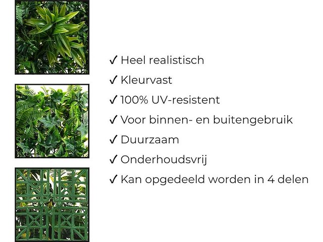 Wanddecoratie jungle 500x200 ongebruikt - afbeelding 10 van  19