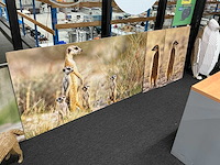 Wanddecoratie / karton sculpturen (8x) - afbeelding 4 van  8