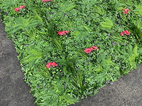 Wanddecoratie kunstplant 'exotica' 500x200 ongebruikt - afbeelding 21 van  21