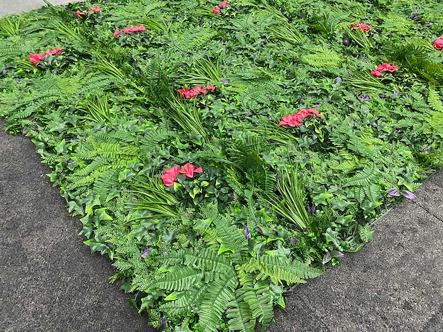 Wanddecoratie kunstplant 'exotica' 500x200 ongebruikt - afbeelding 2 van  21