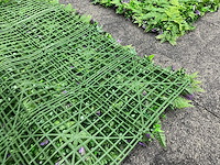 Wanddecoratie kunstplant 'exotica' 500x200 ongebruikt - afbeelding 8 van  21