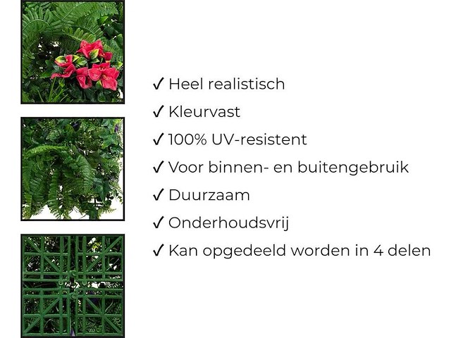 Wanddecoratie kunstplant 'exotica' 500x200 ongebruikt - afbeelding 15 van  21