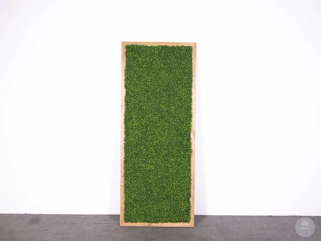 Wanddecoratie urban mos - afbeelding 3 van  5