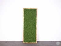 Wanddecoratie urban mos - afbeelding 3 van  5