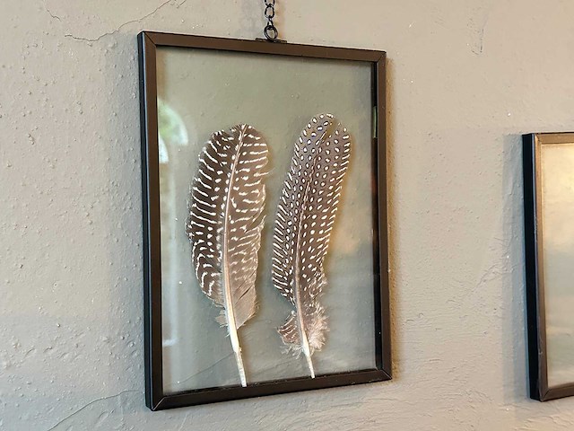 Wanddecoratie "veren" 6-delig - afbeelding 3 van  5