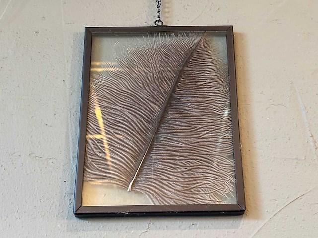 Wanddecoratie "veren" 6-delig - afbeelding 5 van  5