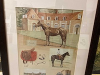 Wanddecoratie - afbeelding 6 van  8