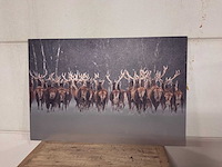 Wanddecoratie - afbeelding 5 van  9