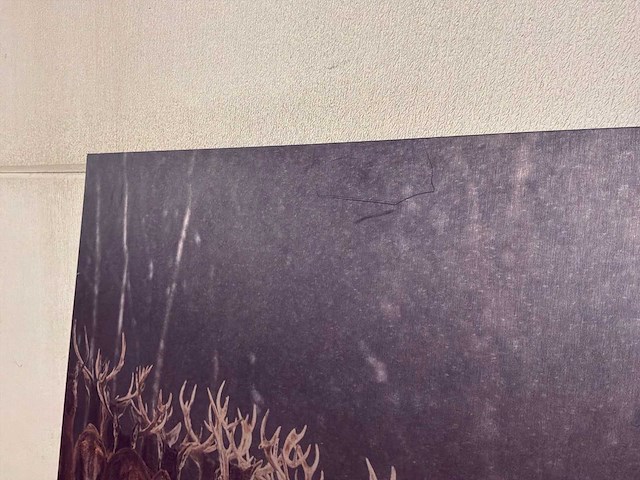 Wanddecoratie - afbeelding 7 van  9