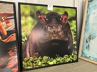 Wanddecoratie