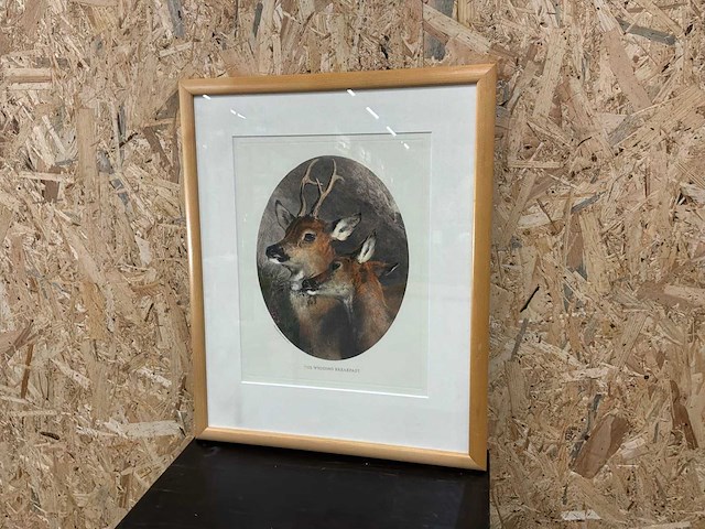 Wanddecoratie - afbeelding 2 van  8