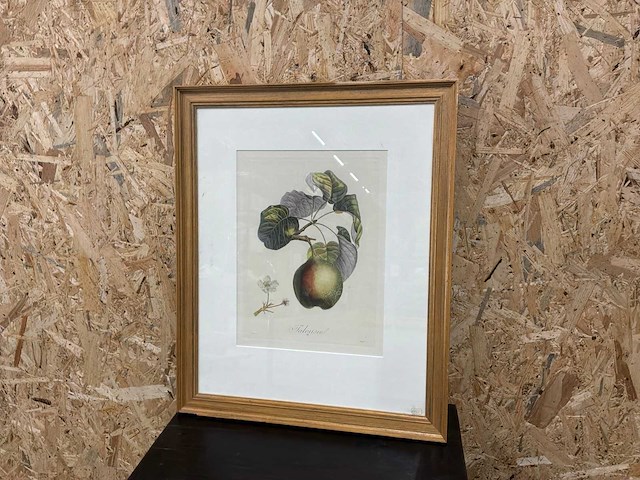 Wanddecoratie - afbeelding 4 van  10