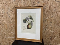 Wanddecoratie - afbeelding 5 van  10