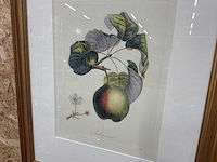 Wanddecoratie - afbeelding 7 van  10