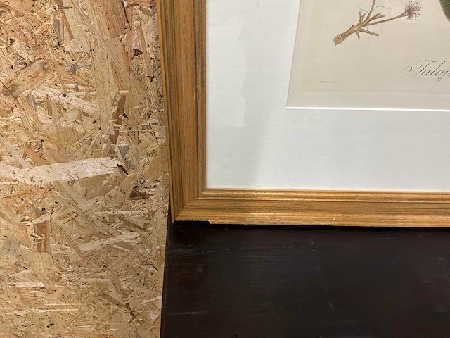 Wanddecoratie - afbeelding 9 van  10