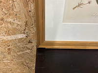 Wanddecoratie - afbeelding 9 van  10