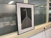 Wanddecoratie - afbeelding 1 van  1