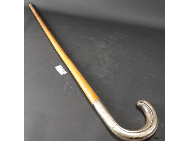 Wandelstok met alpacca zilveren handgreep - afbeelding 1 van  5