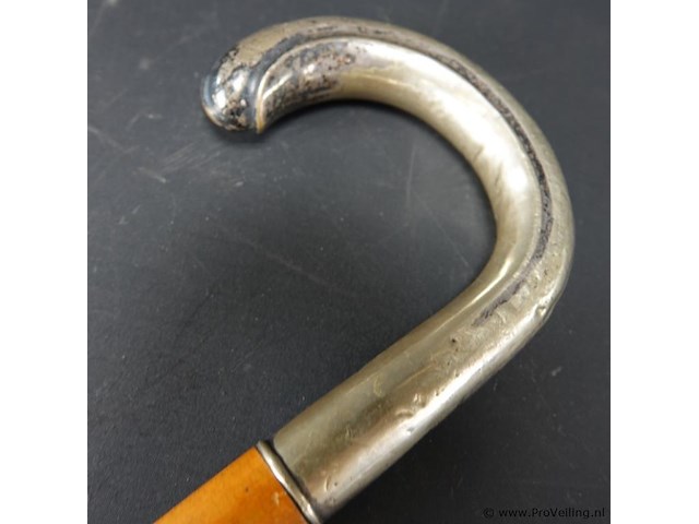 Wandelstok met alpacca zilveren handgreep - afbeelding 5 van  5