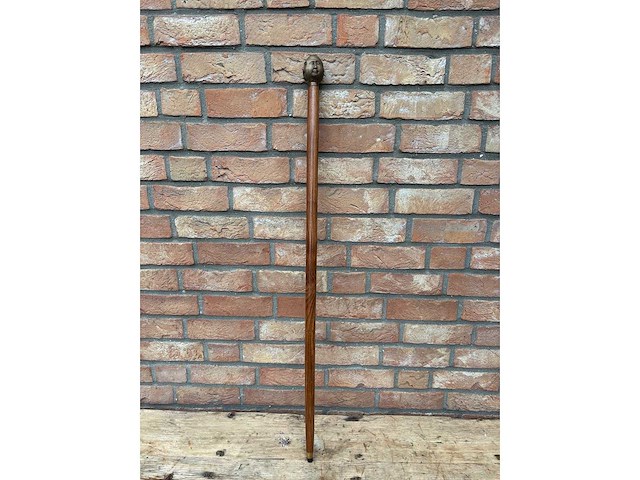 Wandelstok - afbeelding 1 van  5