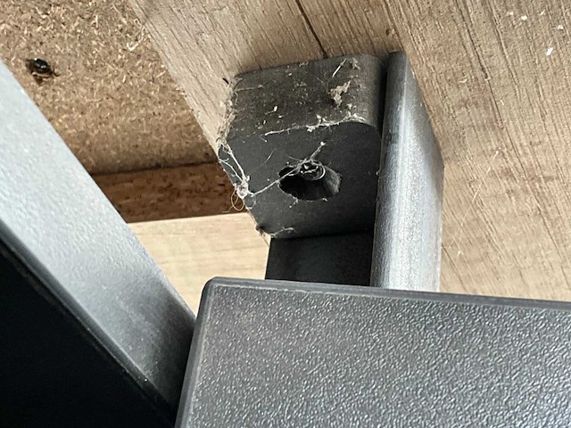 Wandmeubel - afbeelding 9 van  9