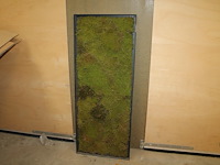 Wandpaneel met mos. afmeting 150 x 5 x 60 cm. - afbeelding 1 van  3