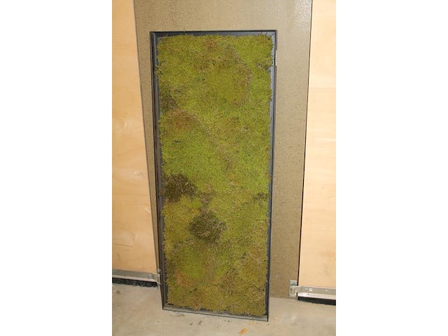 Wandpaneel met mos. afmeting 150 x 5 x 60 cm. - afbeelding 2 van  3
