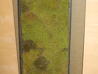 Wandpaneel met mos. afmeting 150 x 5 x 60 cm. - afbeelding 2 van  3