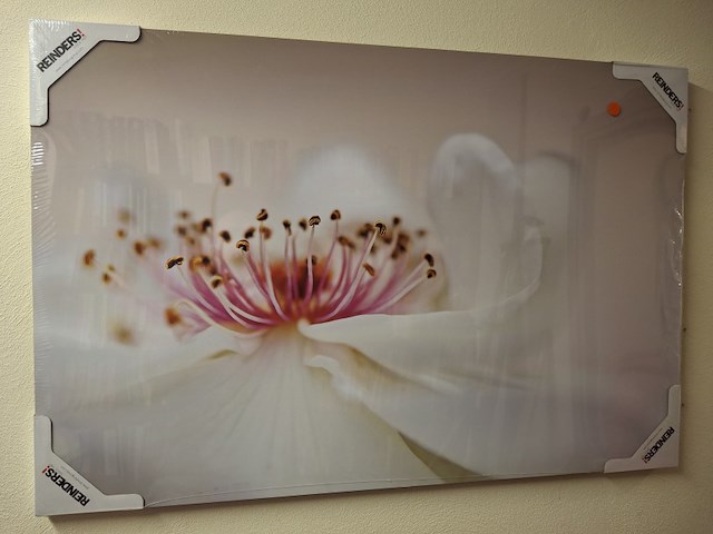 Wandprenten op mdf 60 x 90 cm 4 stuks - afbeelding 2 van  3