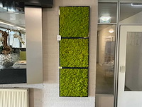 Wandpresentatie / showroom-display