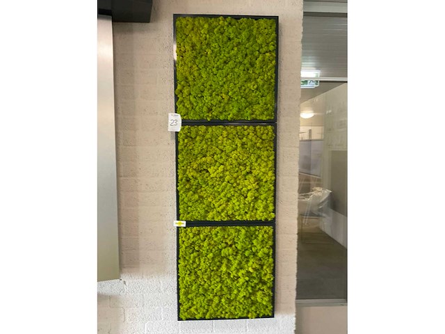 Wandpresentatie / showroom-display - afbeelding 2 van  2