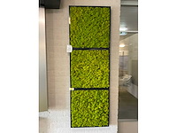 Wandpresentatie / showroom-display - afbeelding 2 van  2