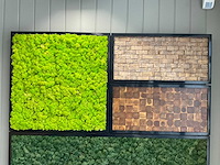 Wandpresentatie / showroom-display - afbeelding 3 van  5