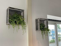 Wandrek met kunstplant (2x) - afbeelding 1 van  1