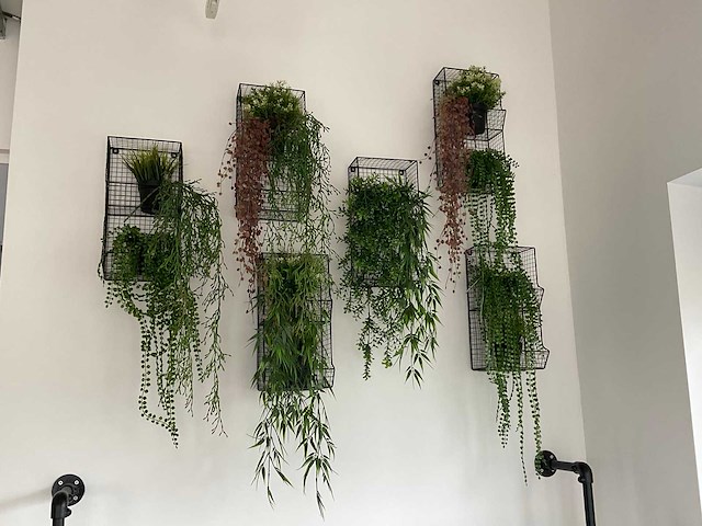 Wandrek met kunstplant (6x) - afbeelding 1 van  1