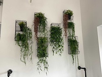 Wandrek met kunstplant (6x) - afbeelding 1 van  1