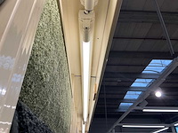 Wandstelling - afbeelding 7 van  7