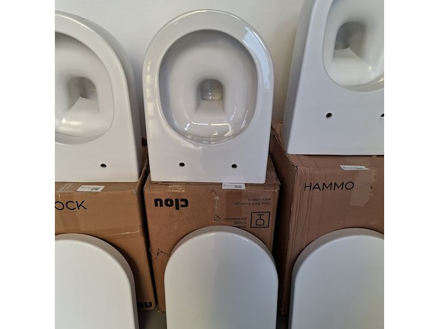Wandtoilet clou, hammock, glans wit - afbeelding 1 van  4