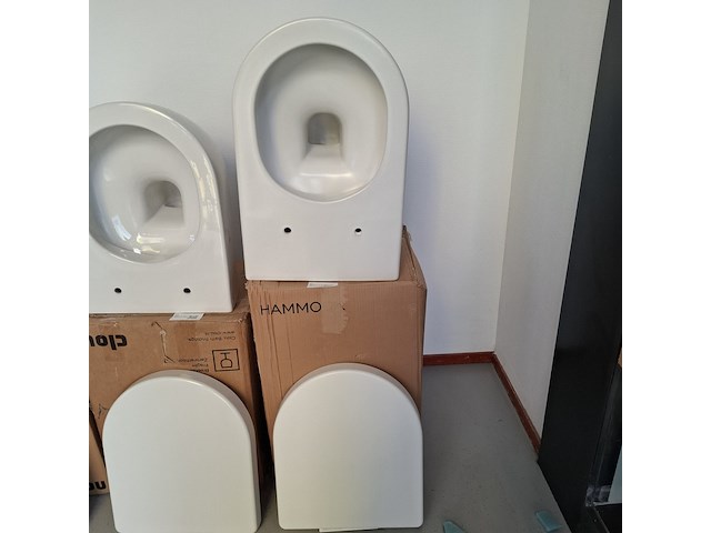 Wandtoilet clou, hammock, mat wit - afbeelding 1 van  5