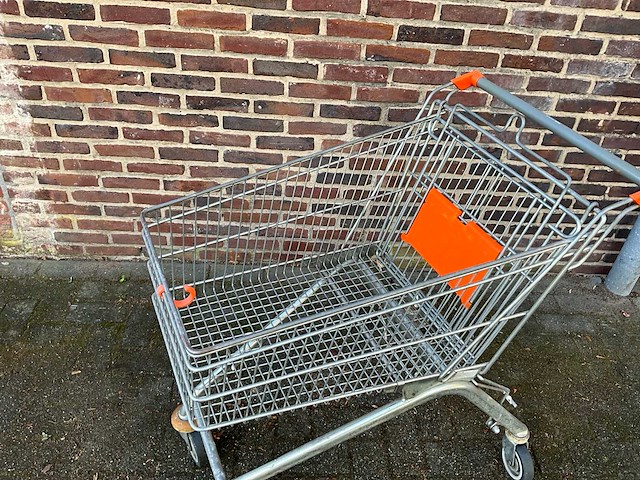 Wanzl ela101 winkelwagens (15x) - afbeelding 4 van  10