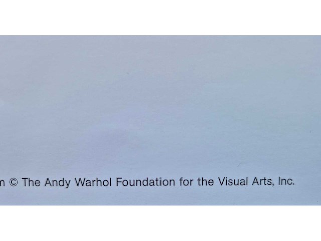 Warhol - afbeelding 2 van  2