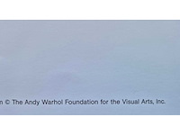 Warhol - afbeelding 2 van  2