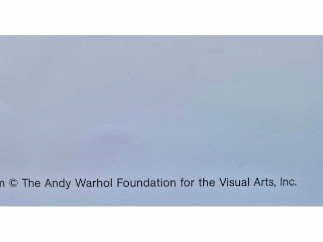 Warhol - afbeelding 2 van  2