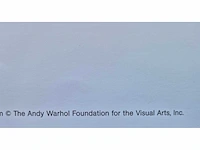Warhol - afbeelding 2 van  2