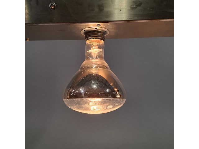 Warmtebrug , bartscher, 2013 - afbeelding 7 van  8