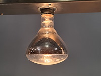 Warmtebrug , bartscher, 2013 - afbeelding 7 van  8