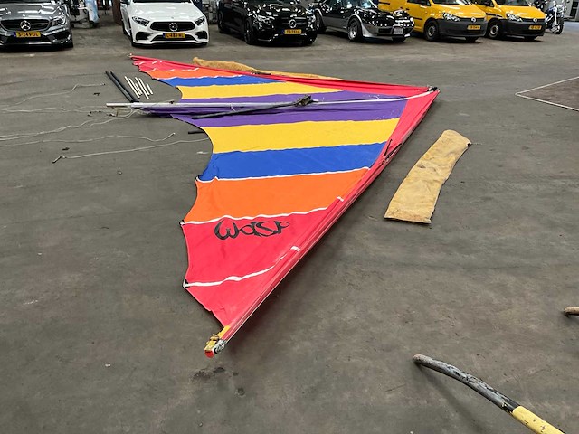 Wasp parapente - afbeelding 3 van  9